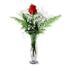 Vase 1 rose